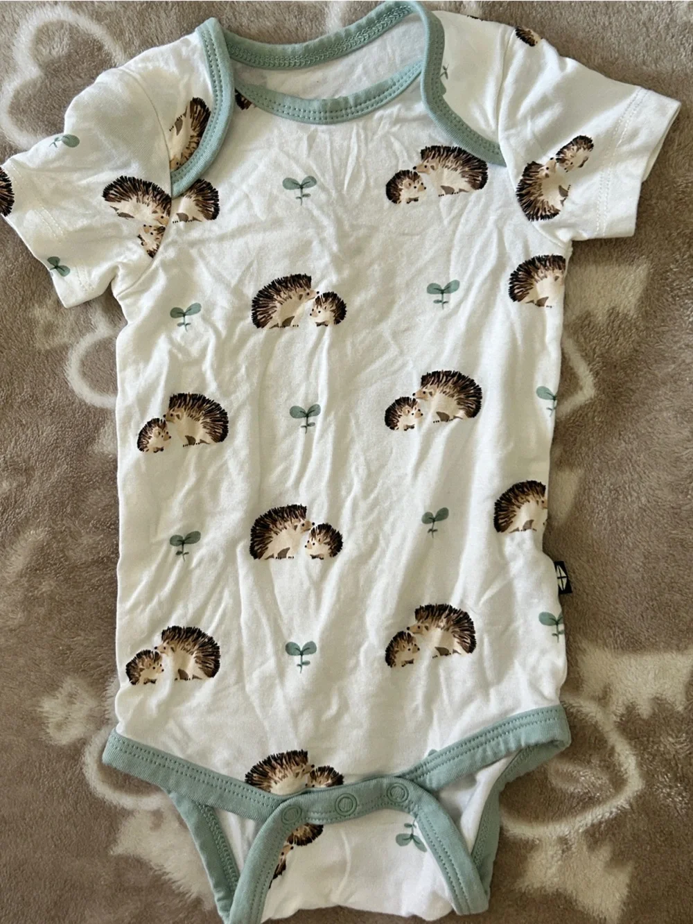 Kyte baby hedgehog onesie